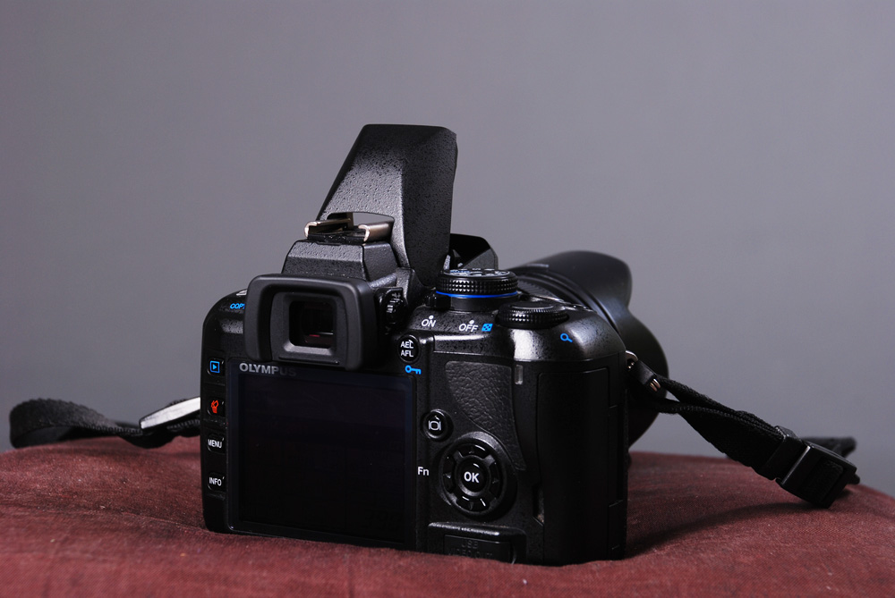 DSC_3747.jpg