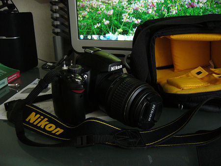 P1140878.JPG