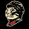 Stelarator